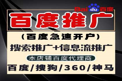 百度竞价SEM深度解析：某行业成功推广经验